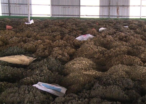 含铜泥光伏组件回收厂家现款现结