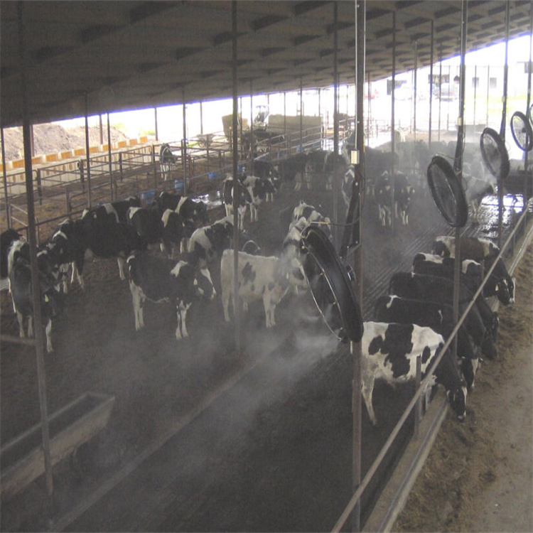 生猪养殖场车辆消毒通道生产厂家质量过硬