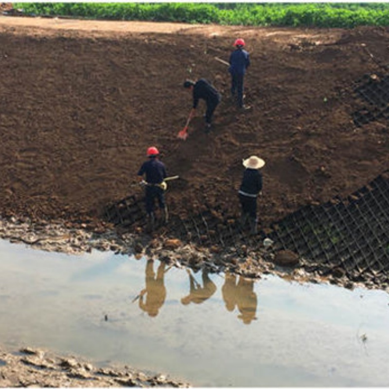 土工格室六边形蜂巢土工格室买的放心