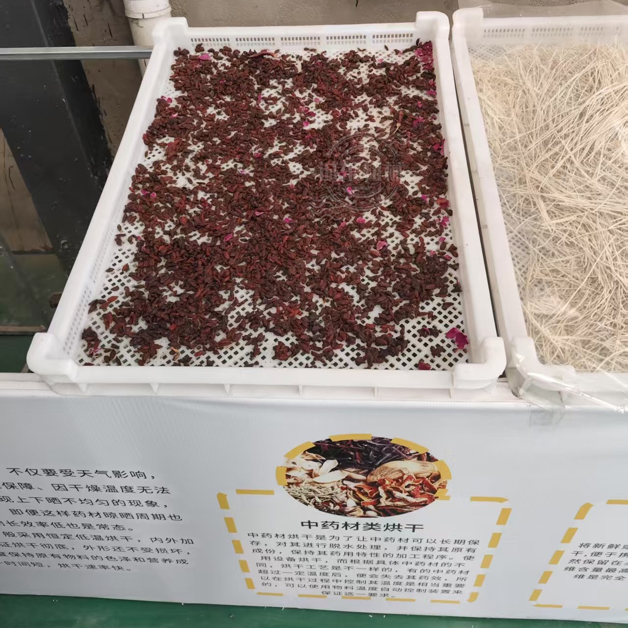 烘干机烘干箱现货直发