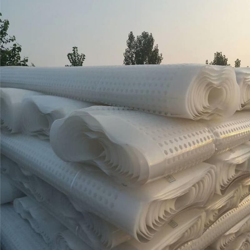 排水板20mm厚疏水板信誉至上