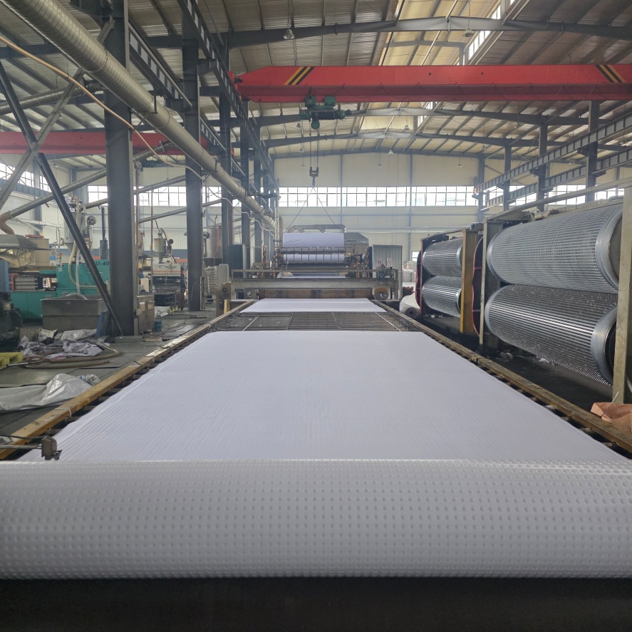 虹吸排水板,高分子防护排水异型片从厂家买售后有保障