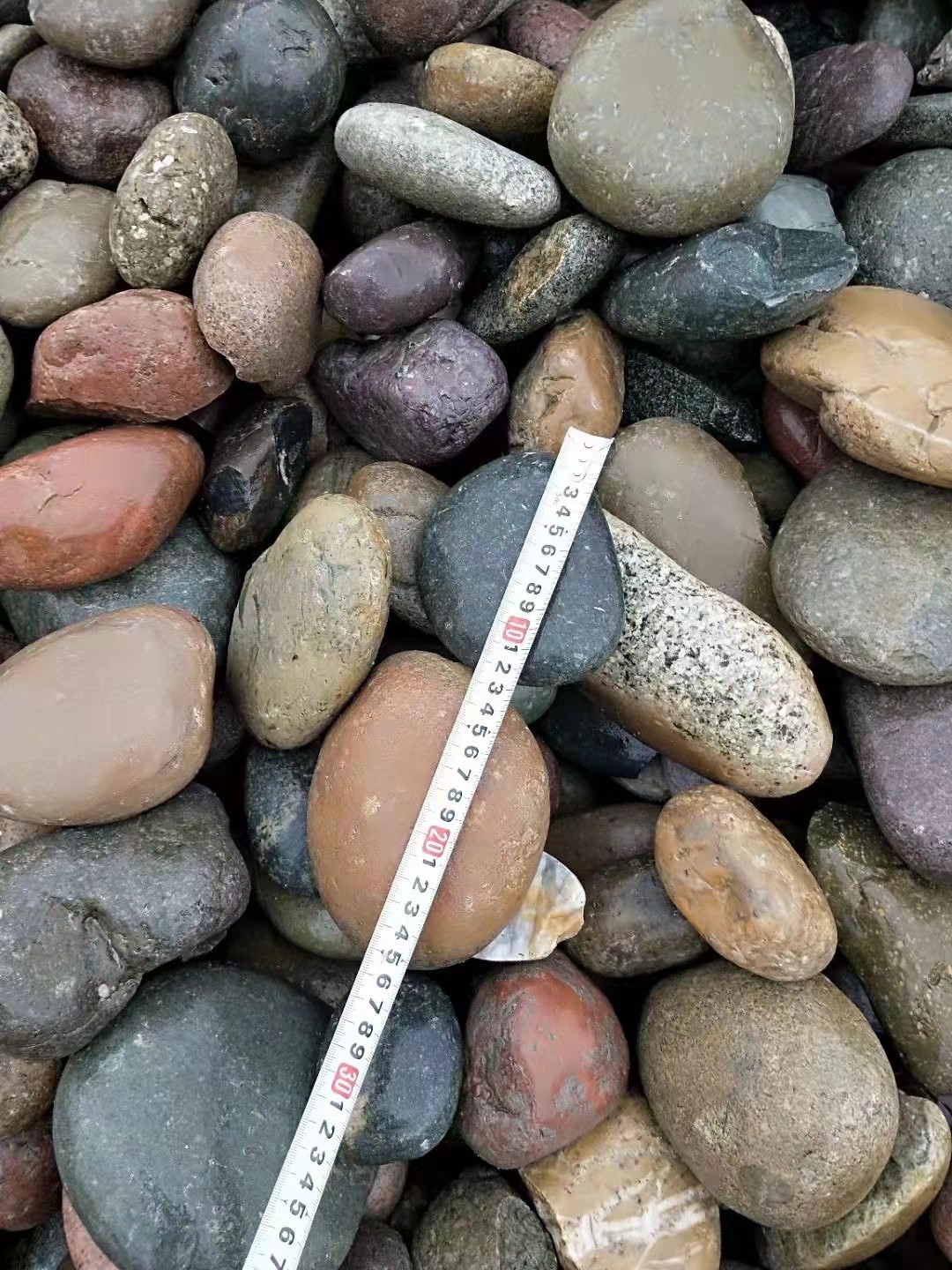 鹅卵石工厂电话小袋运输