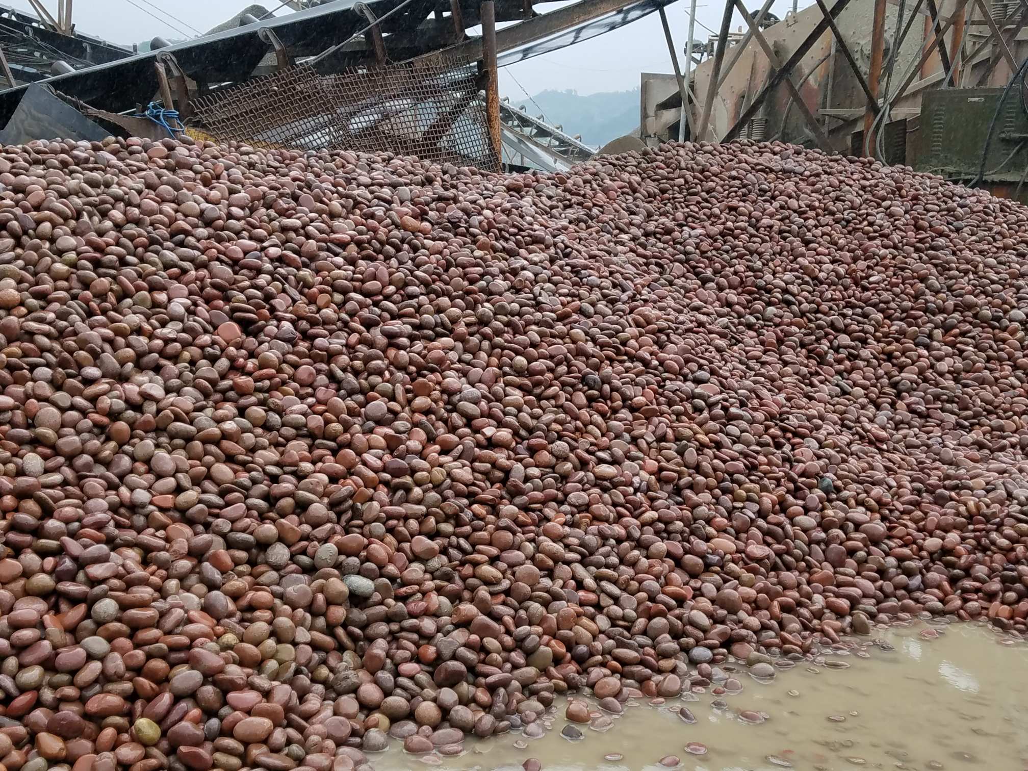 鹅卵石厂家联系电话批发价品质保障