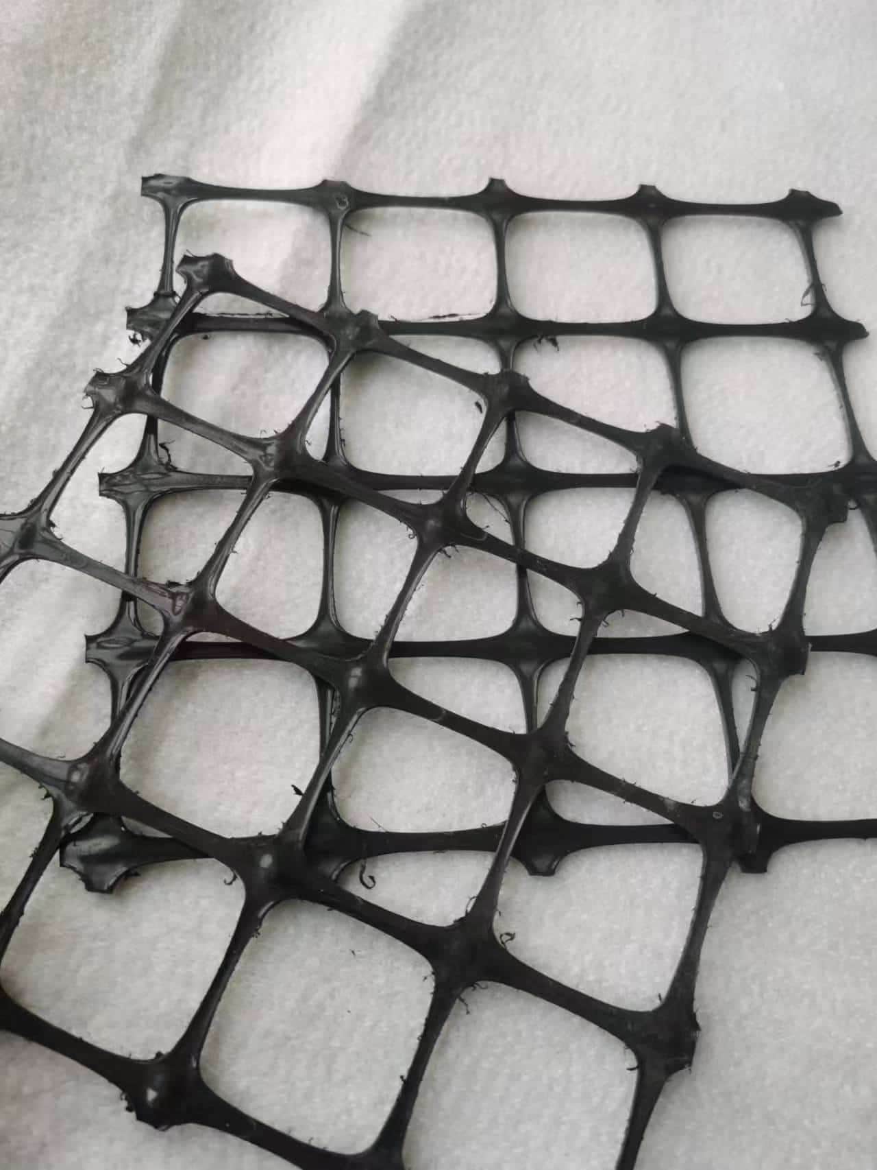 聚丙烯土工格栅多少钱