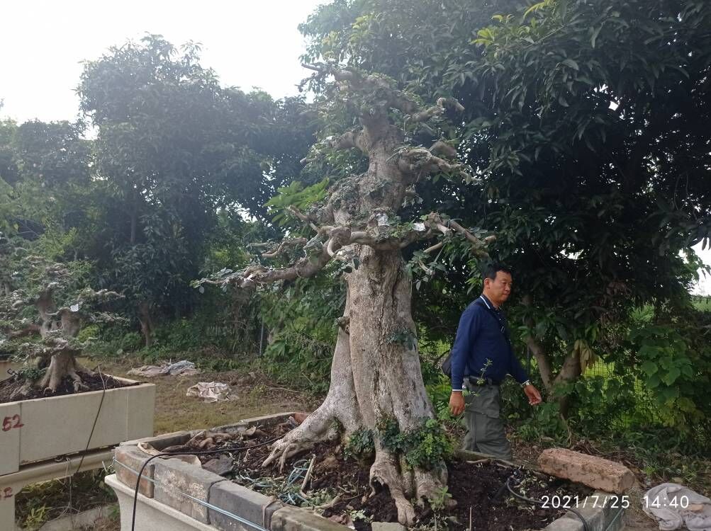 土壤改良修復(fù)河湖泊黑臭藍(lán)藻污染水體處中心