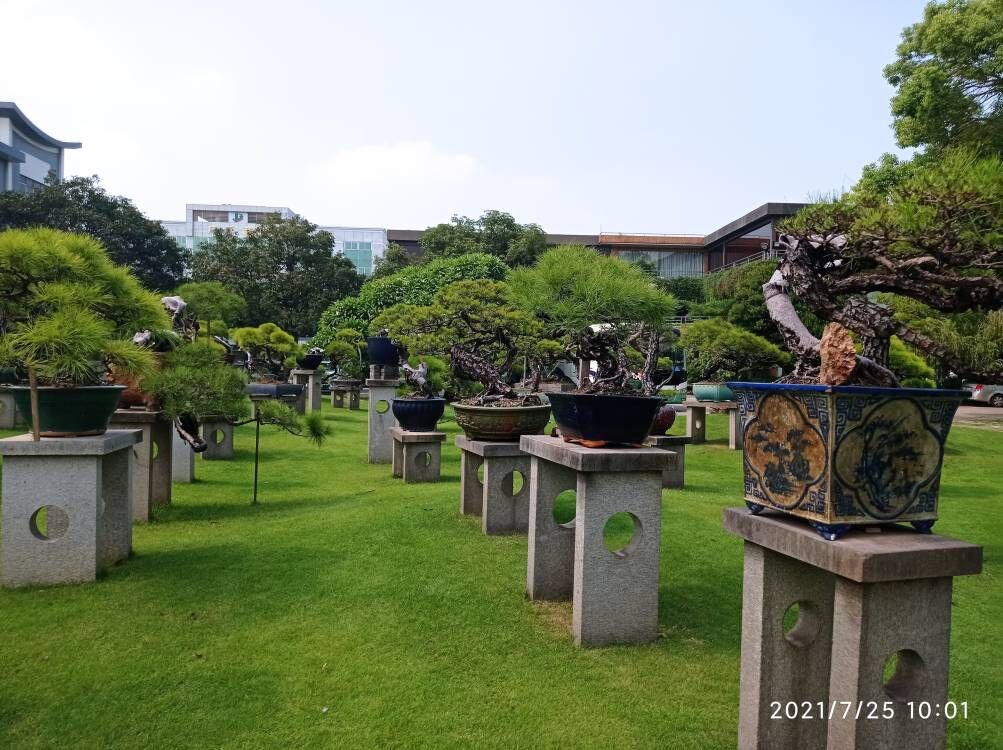 土壤固化劑沙土固化劑多年廠家可靠