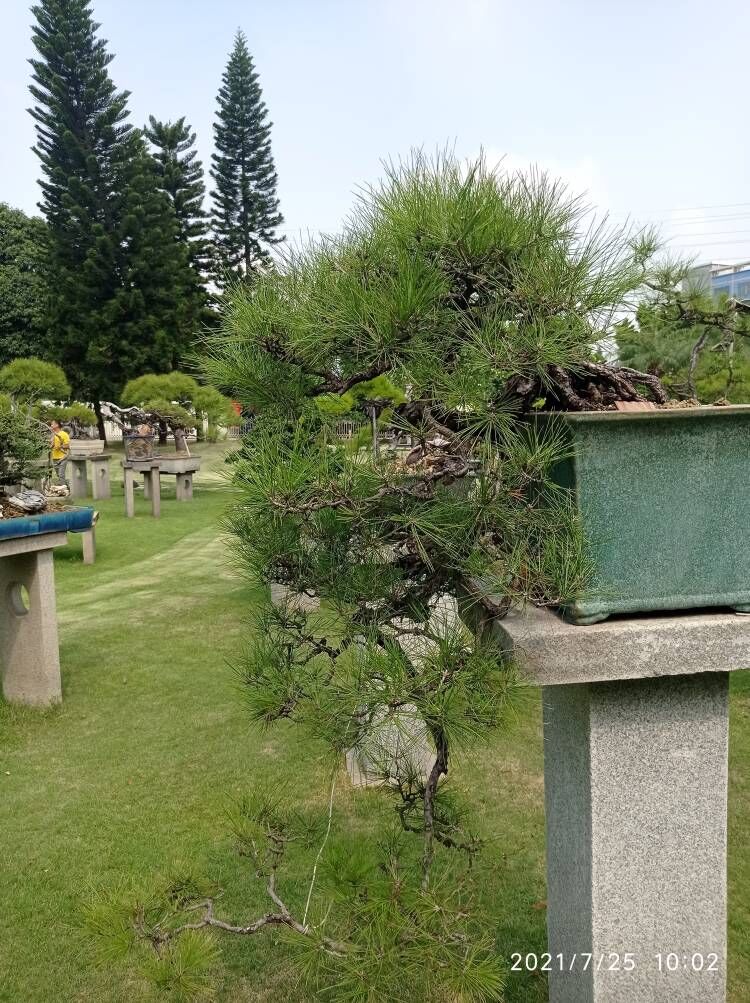 土壤固化劑品質(zhì)之選