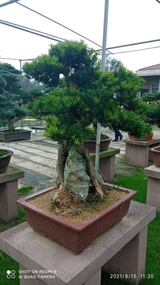 土壤固化劑沙土固化劑匠心品質(zhì)