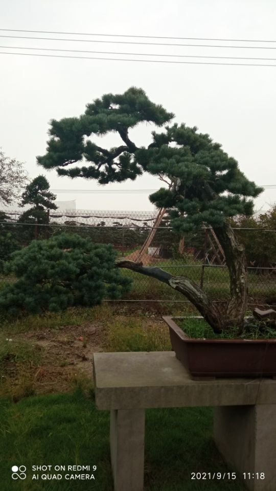 流態(tài)固化土施工設(shè)備土壤固化劑查看售后服務(wù)完善