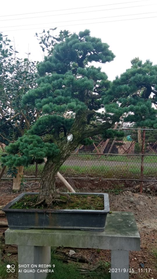 土壤固化劑按需定制真材實(shí)料