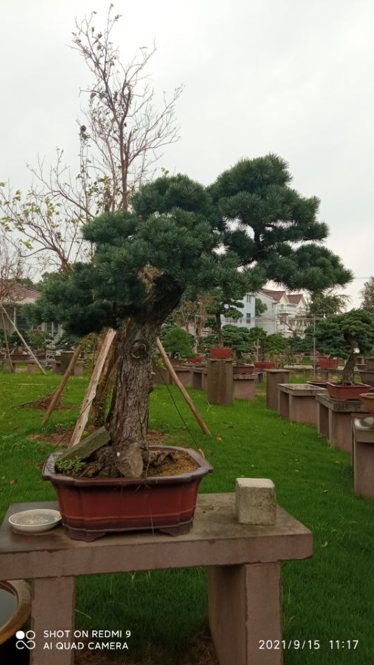 土壤固化劑沙土固化劑匠心品質(zhì)