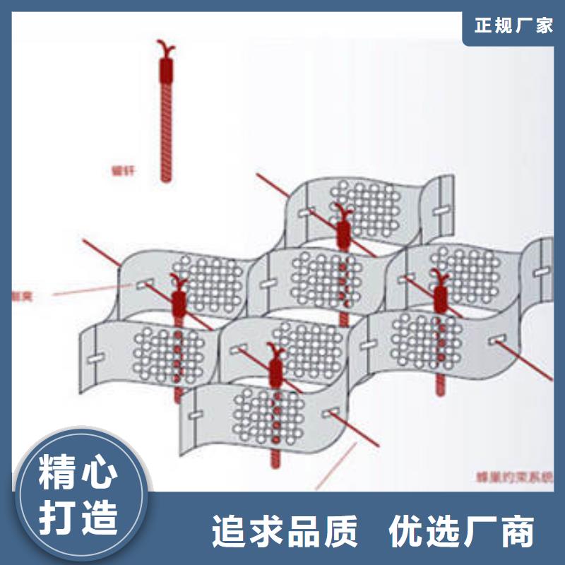 整体式蜂巢格室品牌当地厂家