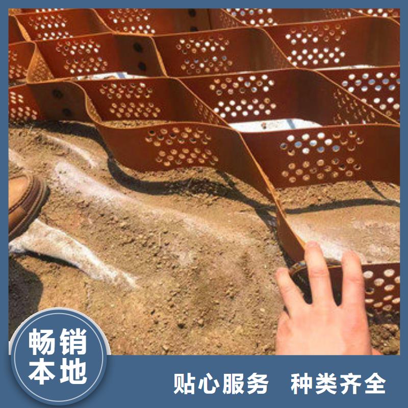 土工格室報(bào)價(jià)簡介質(zhì)量可靠
