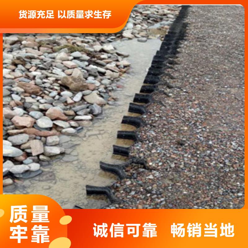 【蜂巢格室蜂巢土工格室可接急單】【當(dāng)?shù)亍恐圃焐?>   
					<div   id=