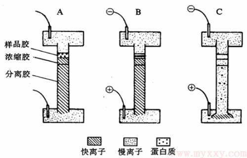 醫(yī)院醫(yī)療污廢水處理陽離子聚丙烯酰胺