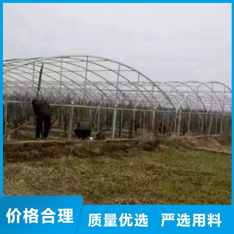 Q235B鍍鋅管—加工廠本地生產(chǎn)廠家
