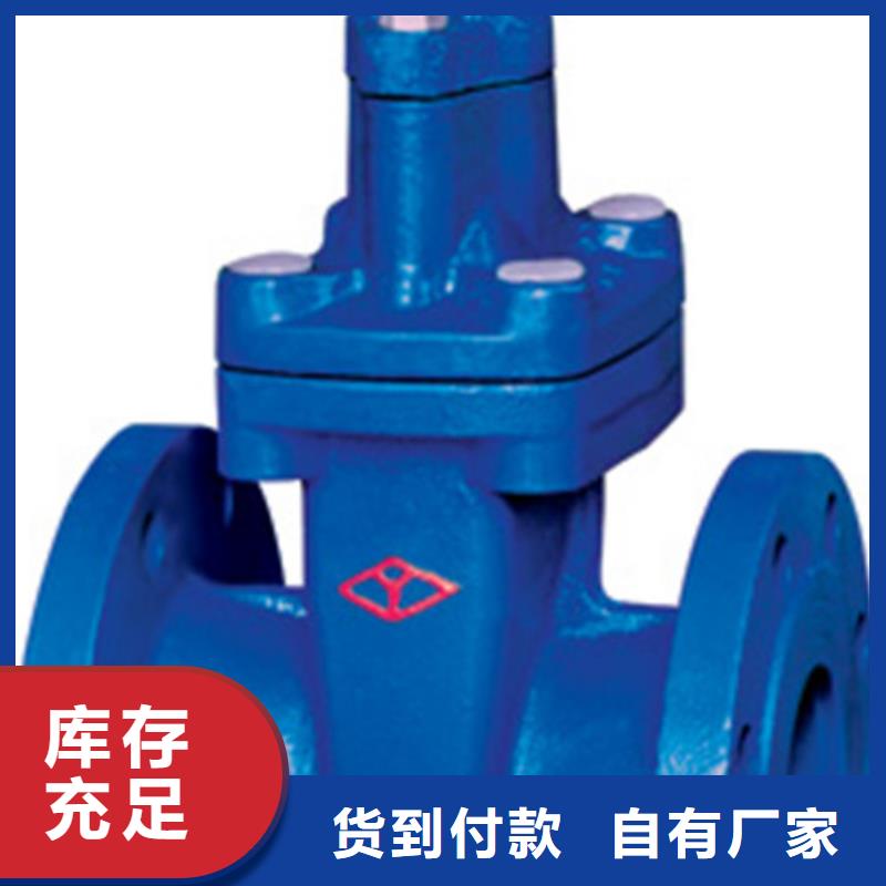 天津遠(yuǎn)大閥門定做專注質(zhì)量
