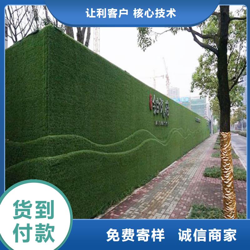 仿草皮圍擋哪種好本地經(jīng)銷商