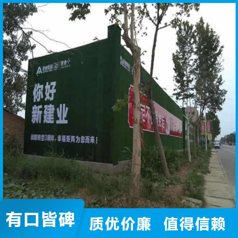 鳳翔人造草坪(圍擋專用操作簡(jiǎn)便品質(zhì)之選