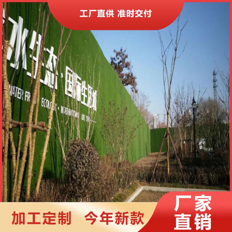 人工草坪圍擋生產(chǎn)廠家質(zhì)量可靠設(shè)計(jì)合理