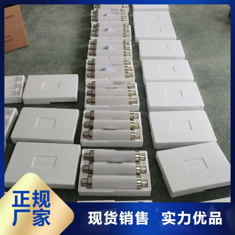 规格齐全XRNT1-3.6KV/31.5A变压器保护用高压限流熔断器甄选好物
