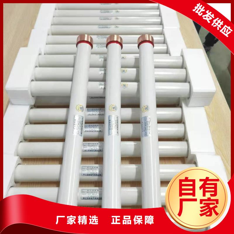 变压器保护用高压限流熔断器XRNT1-10KV/25A型号齐全同城制造商