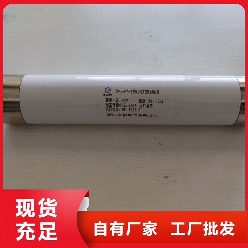 瓊海市變壓器保護用高壓限流熔斷器XRNT1-3.6KV/315A廠家直銷專注品質(zhì)