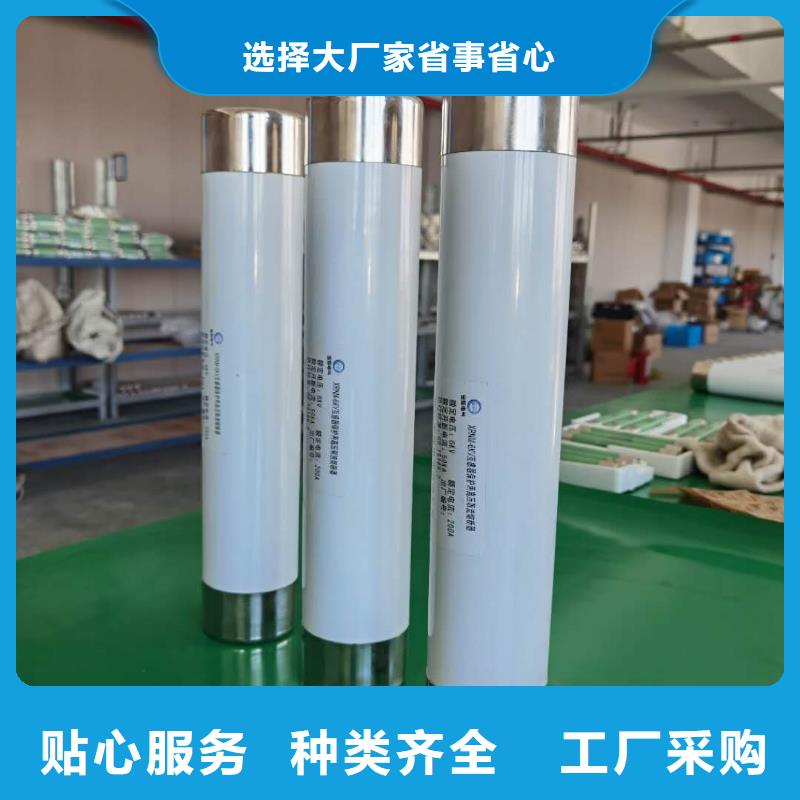 XRNT1-12KV/160A型號(hào)參數(shù)變壓器保護(hù)用高壓限流熔斷器本地貨源