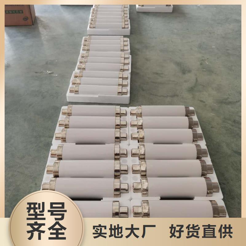 保护电压互感器用高压限流熔断器XRNP1-35/2A厂家本地生产厂家