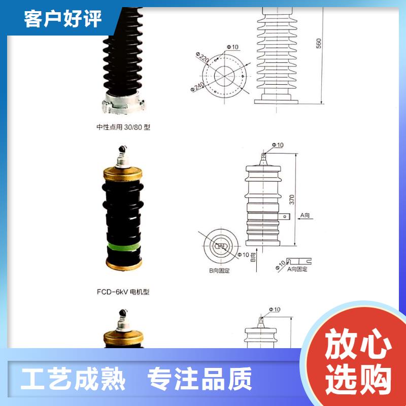 肘型避雷器HBLQ-17/50KV选型设计制造销售服务一体