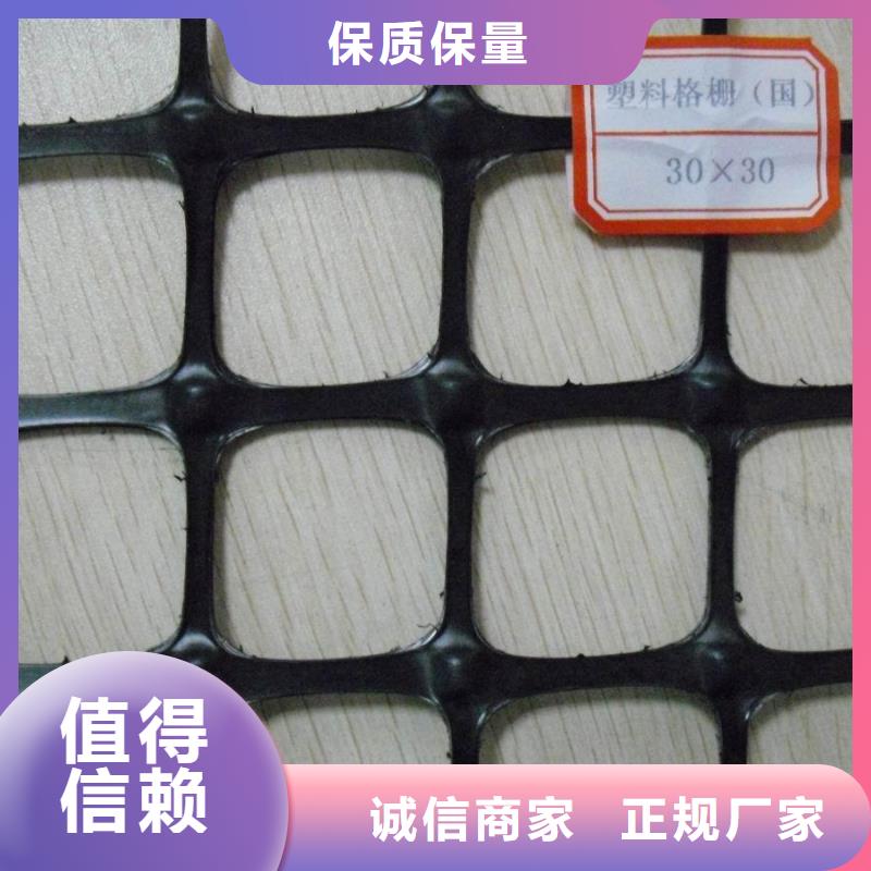 白色塑料平網(wǎng)PE塑料網(wǎng)土工布土工膜土工格柵專業(yè)生產(chǎn)廠家