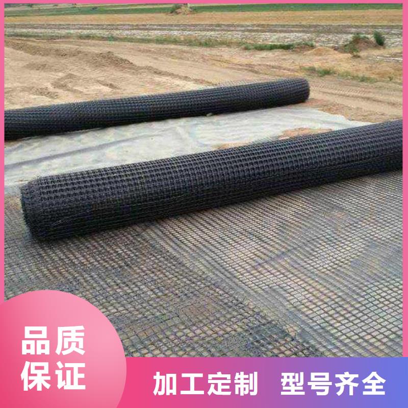 双向拉伸塑料土工格栅执行GB/T17689-2008标准塑料网养鸡塑料围网您身边的厂家