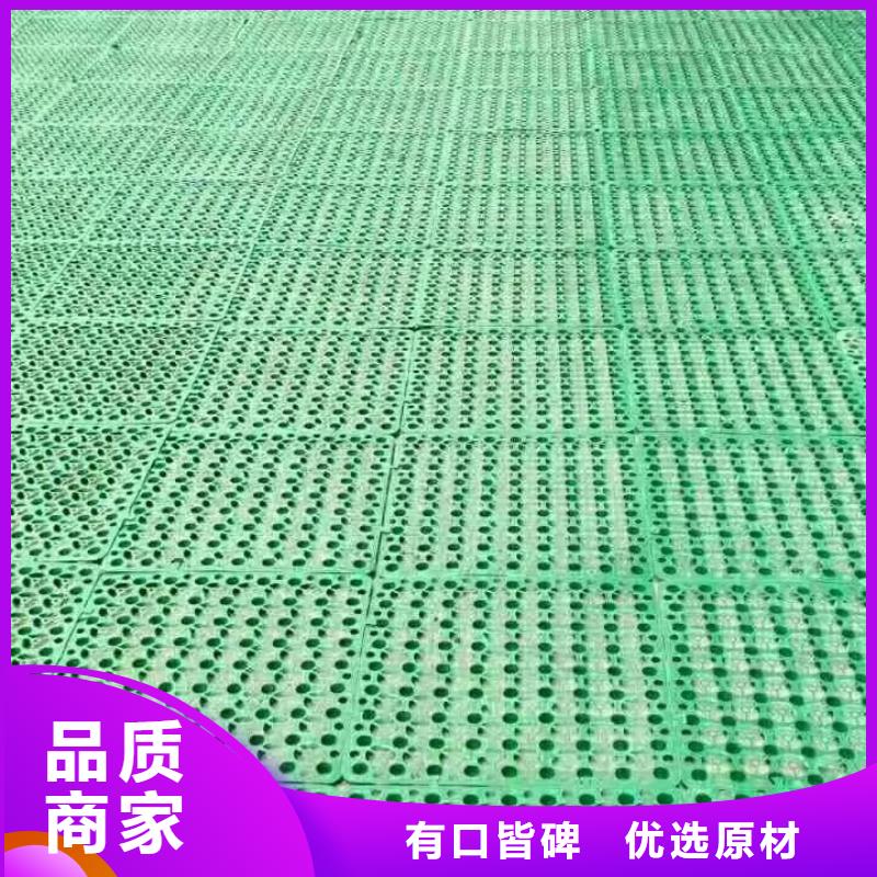 钢塑土工格栅厂家|三维植被网厂家|软式透水管等土工合成材同城货源