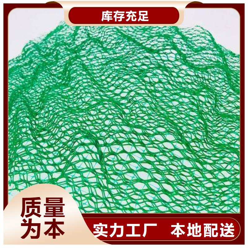 專業(yè)植草三維植被網(wǎng)_廠家直銷_植草三維植被網(wǎng)_優(yōu)質(zhì)供貨自有生產(chǎn)工廠
