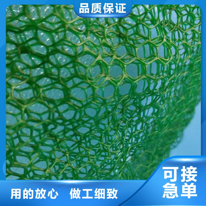 【三维植被网】三维植被网原理,三维植被网施工,特点,图片的简单介绍