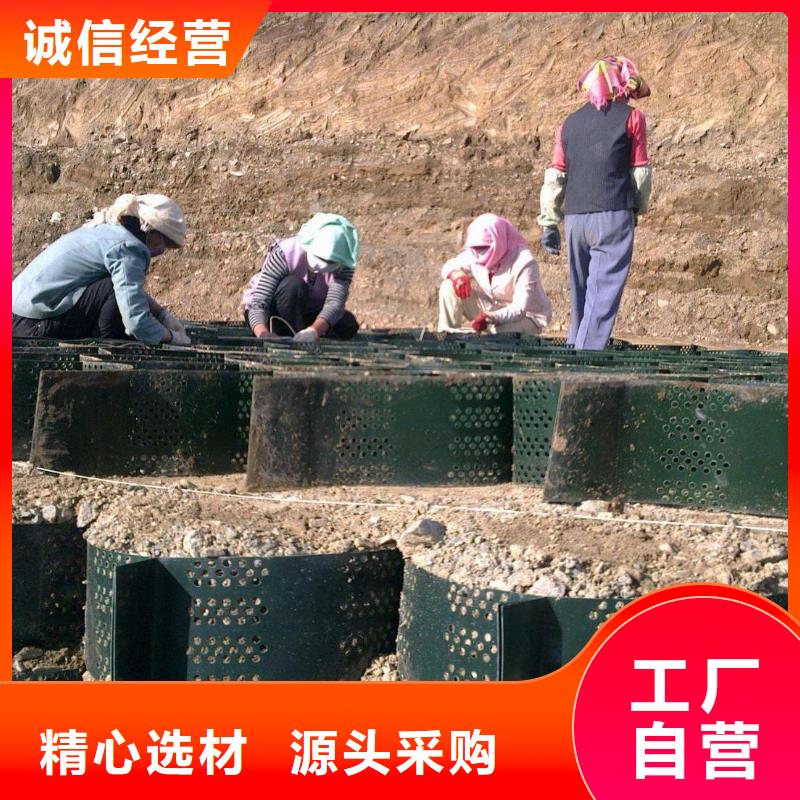 土工格室_蜂巢土工格室价格_护坡土工格室厂家物流配货上门