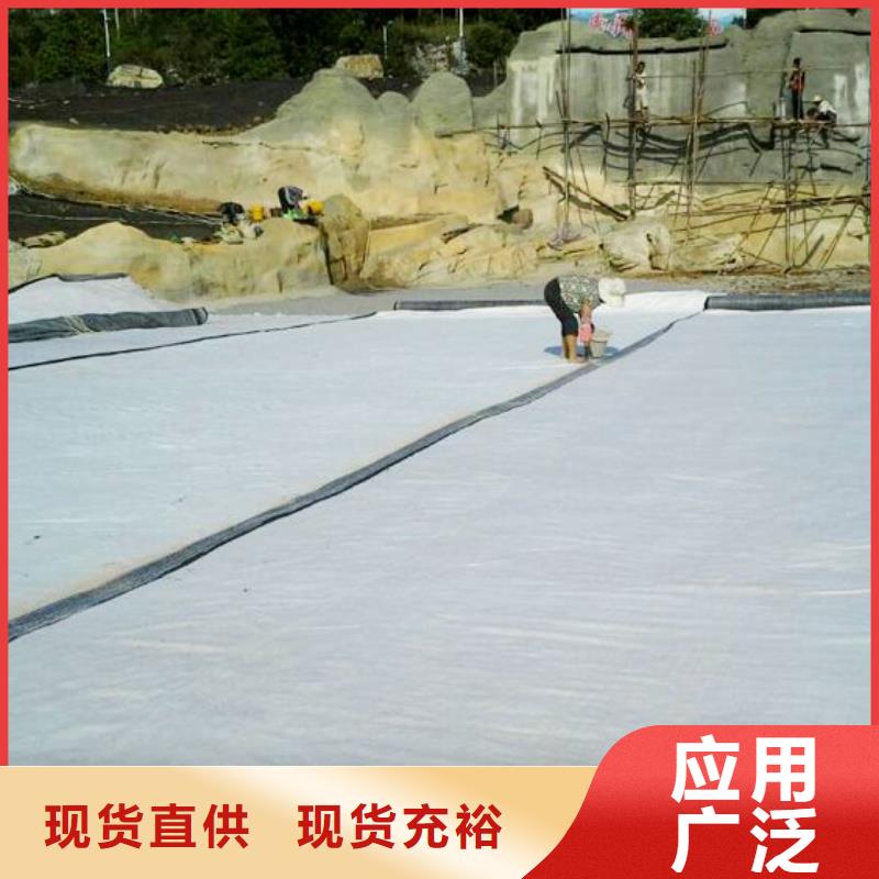 土工膜_土工布_复合排水板_HDPE防渗膜_膨润土防水毯本地制造商
