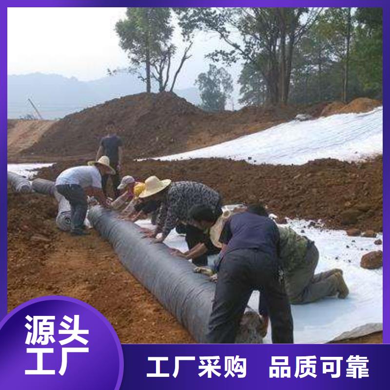 防渗膜价格_膨润土防水毯批发_土工网生产厂家_三维植被网...专业生产N年