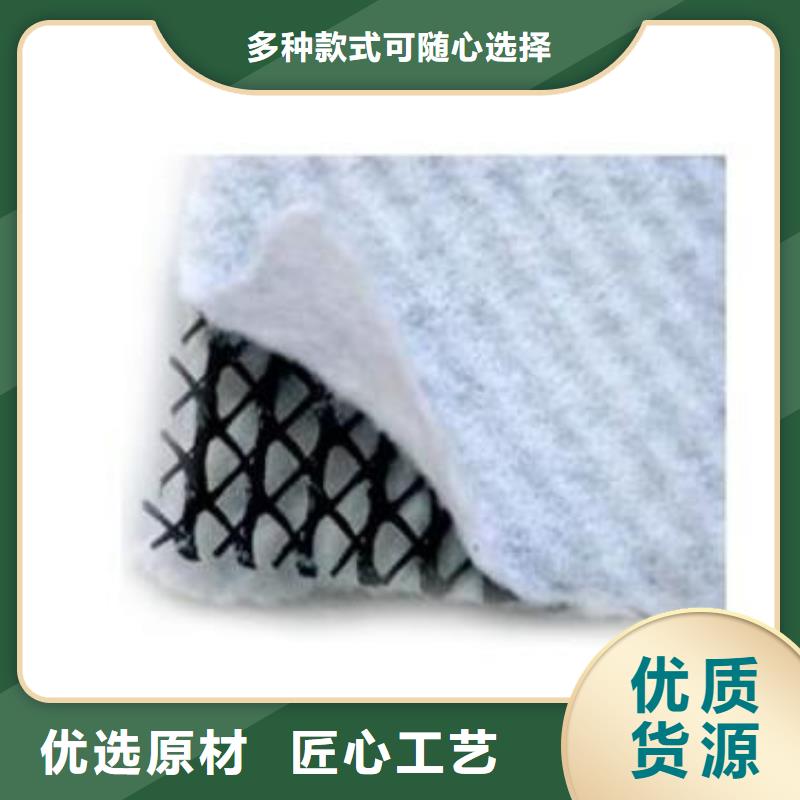 三维复合排水网_塑料排水板价格_蓄排水板厂家当地经销商