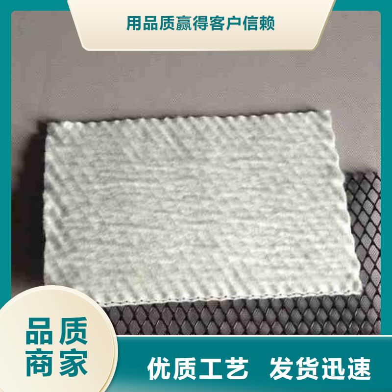 三维复合排水网多少钱-厂家直销-价格优惠-货源充足发现货】当地服务商