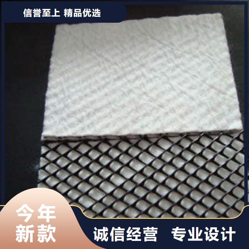 三維植被網(wǎng)-三維復合排水網(wǎng)-生產(chǎn)基地-廠家直銷】本地制造商