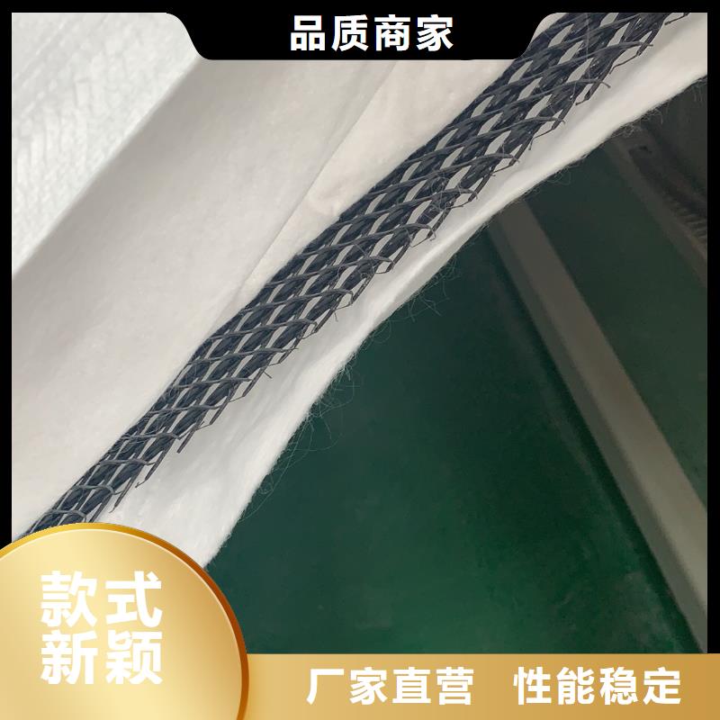 三維復(fù)合排水網(wǎng)-土工席墊等土工材料生產(chǎn)基地-山東億路通實力工廠