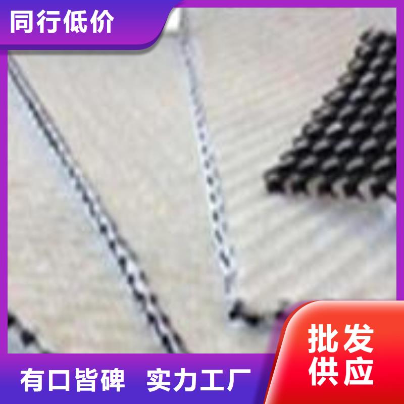 2025三維復合排水網(wǎng)-質(zhì)優(yōu)價廉-貨源充足-生產(chǎn)廠家當?shù)厣a(chǎn)廠家