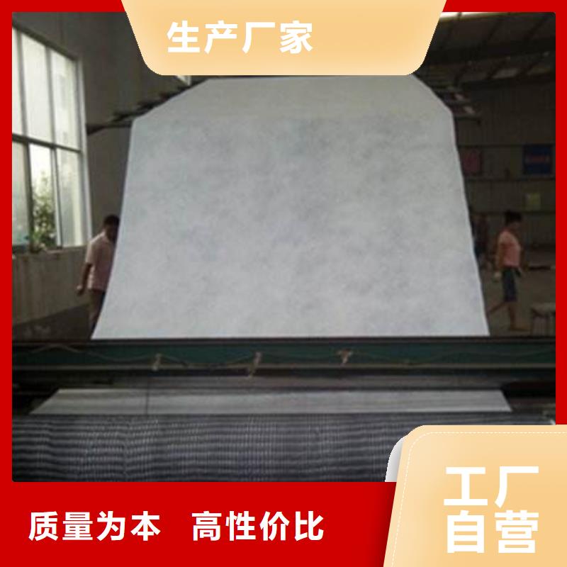 三维复合排水网生产厂家】24小时下单发货