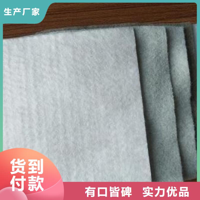 護(hù)坡土工布實(shí)力廠家/現(xiàn)貨供應(yīng)本地服務(wù)商
