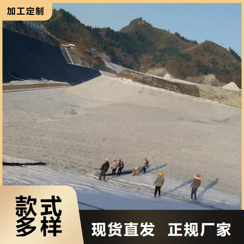 垃圾填埋用防水毯生產基地哪里有？實力雄厚品質保障