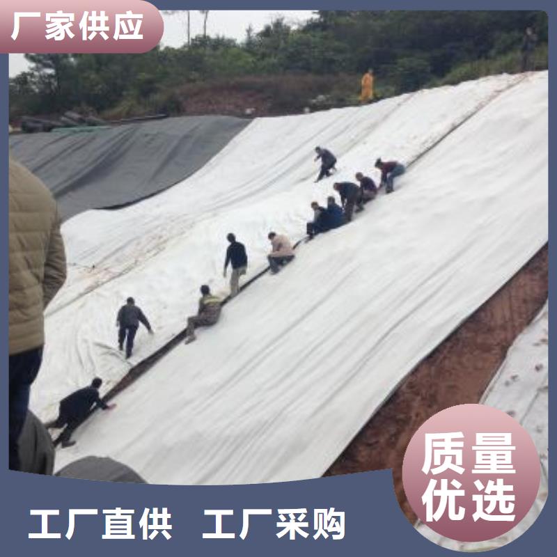 隧道膨润土防水毯价格&2025报价详细参数
