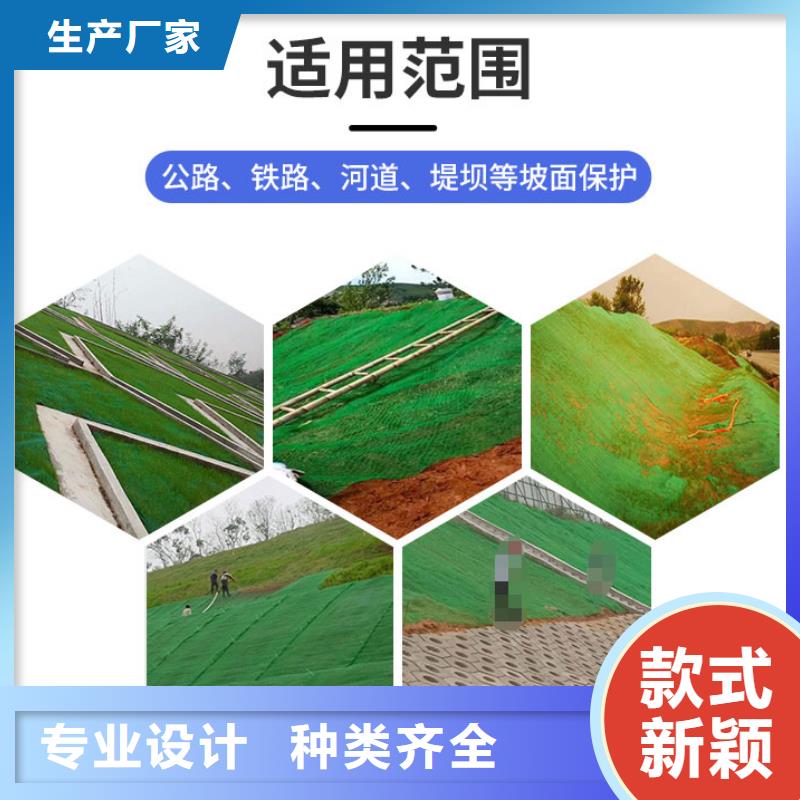 草坪三维植被网厂家直供同城厂家