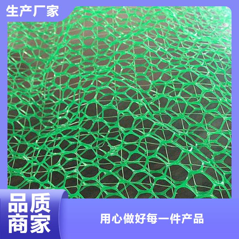 邊坡防護(hù)三維植被網(wǎng)多規(guī)格可定制來圖加工定制